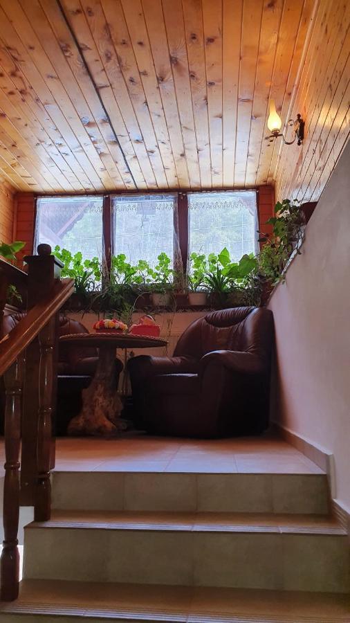 Pensiunea Gianina Arieşeni Exterior foto