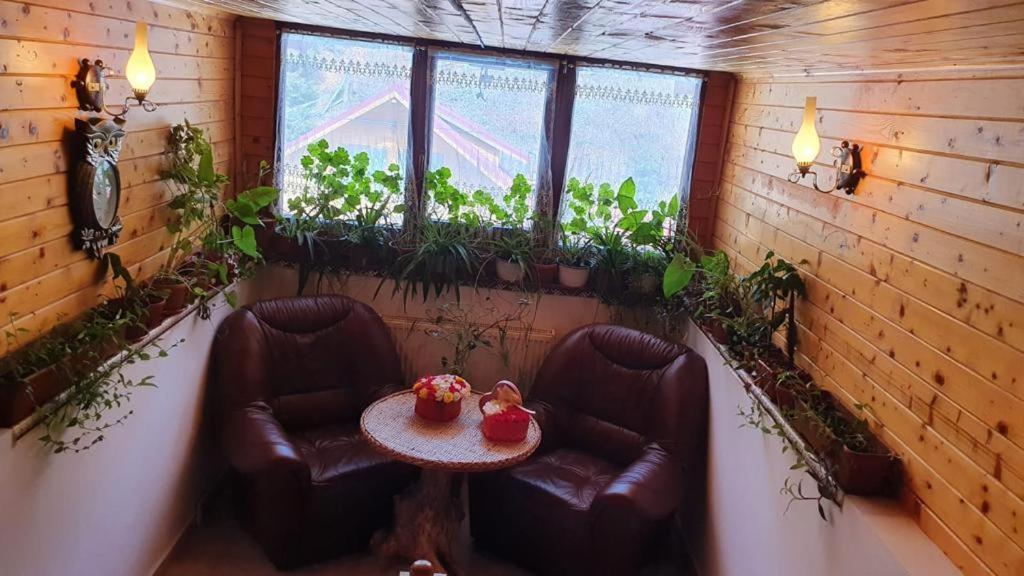 Pensiunea Gianina Arieşeni Exterior foto